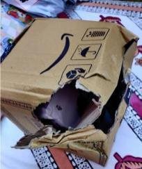 (carrier package damaged)